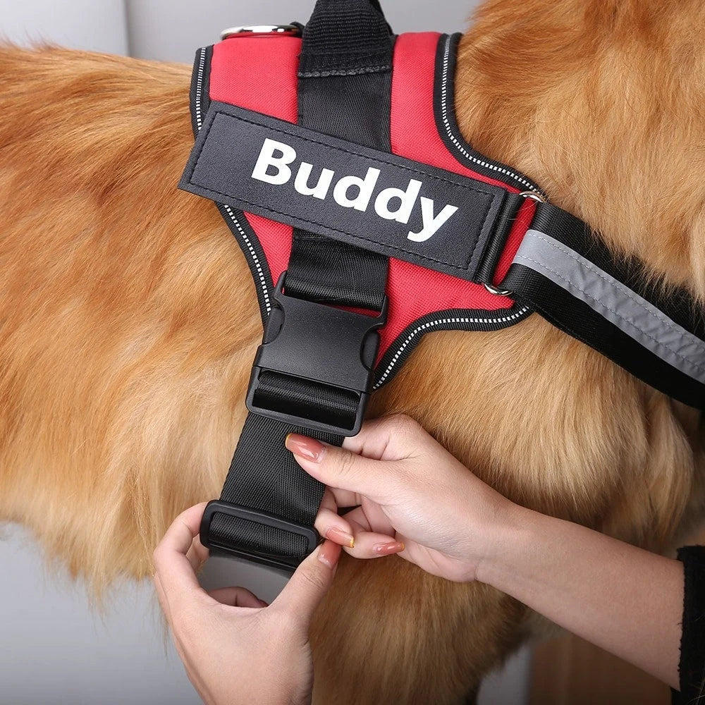 Custom ID Dog Harness